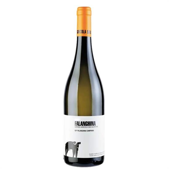 SAN SALVATORE FALANGHINA 24 CAMPANIA IGP CL 75