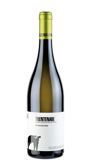 SAN SALVATORE TRENTENARE FIANO 24 BIO IGP PAESTUM CL 75