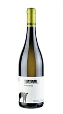 SAN SALVATORE TRENTENARE FIANO 24 BIO IGP PAESTUM CL 75