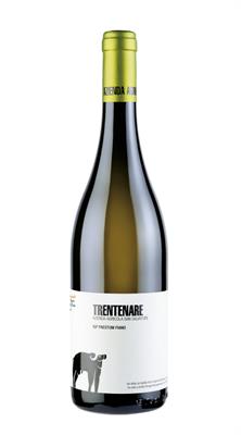 SAN SALVATORE TRENTENARE FIANO 24 BIO IGP PAESTUM CL 75