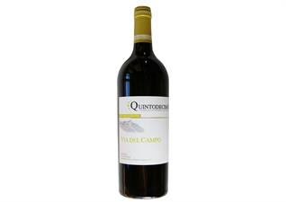 QUINTODECIMO FALANGHINA 24 VIA DEL CAMPO DOC CL 75