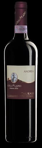 ROMANO CLELIA VIGNA ANDREA TAURASI 19 DOCG CL 75